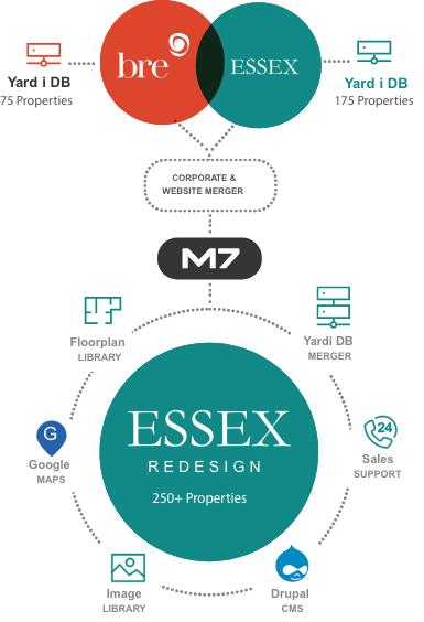 Infographic showing company merger and web design process