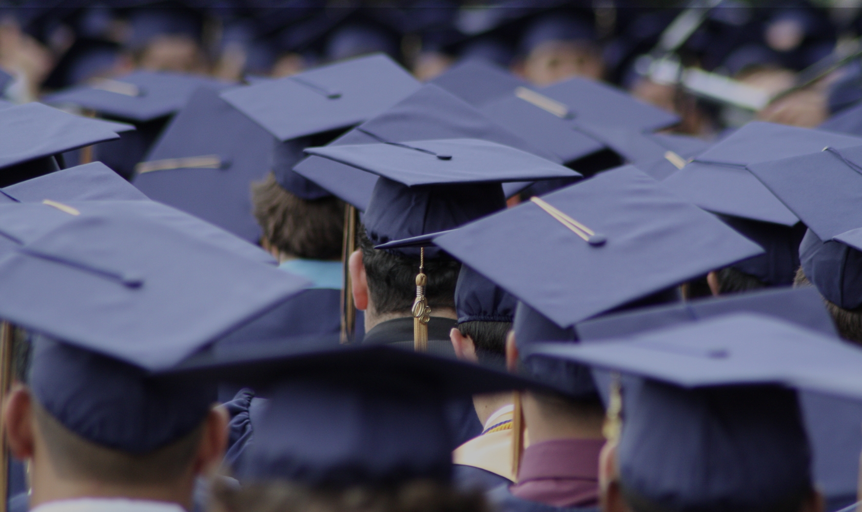 Photograph from behind a crowd of students with graduation attire