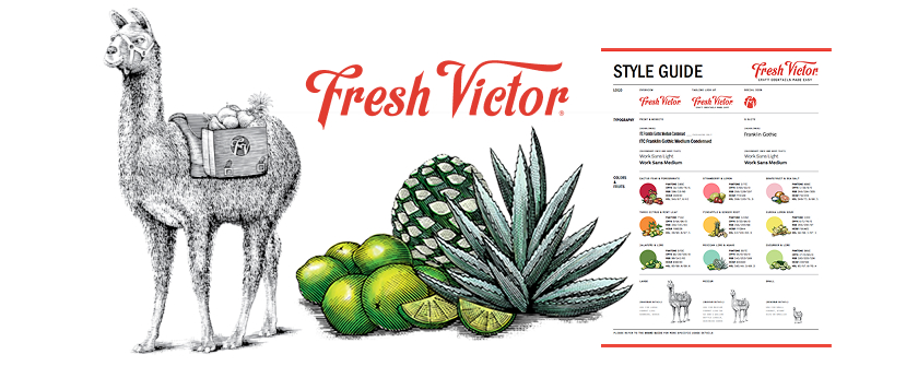 branding and styleguide graphic